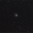 M 101