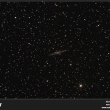 NGC 891