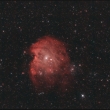 NGC 2174 - Opi�� hlava (ISO1600, 31x10 minut, DF+FF+Bias)